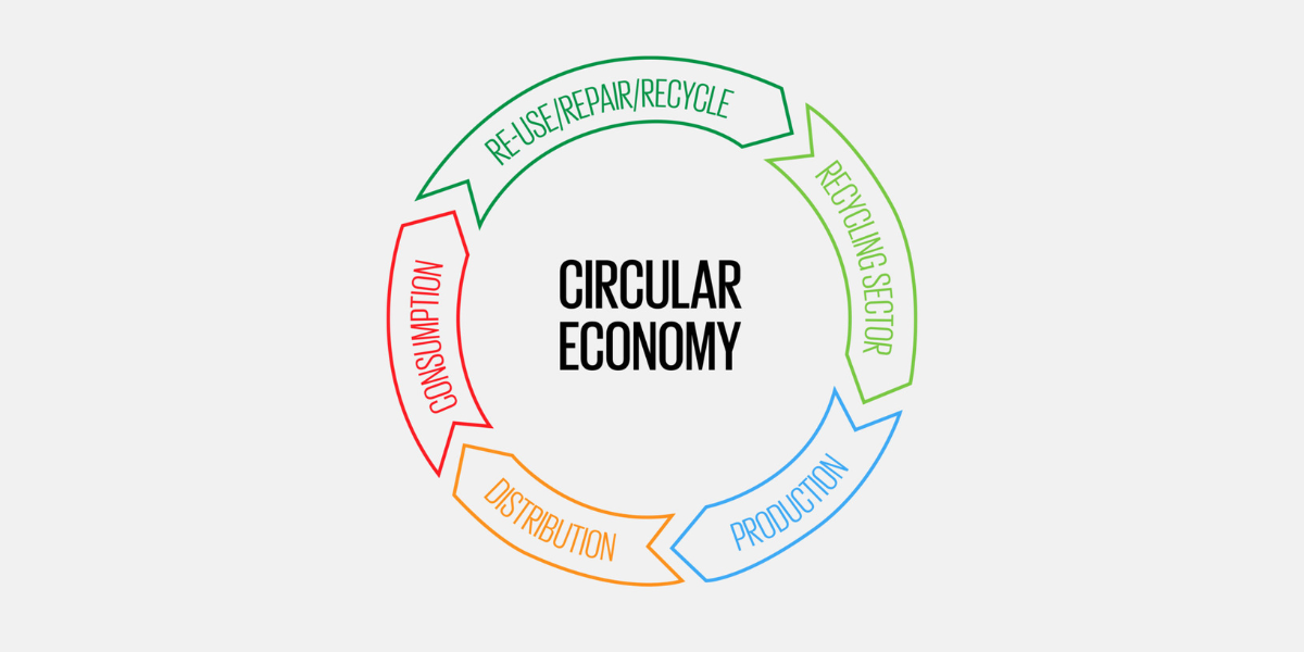 circularec-graph